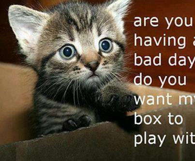 599033_598227510205087_1261217768_n