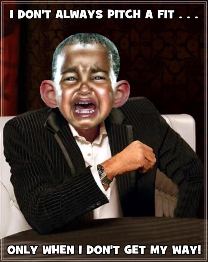baby obama