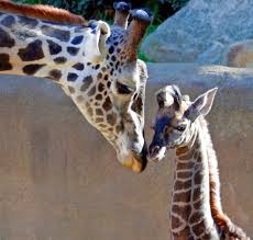 @@ 00 april and baby